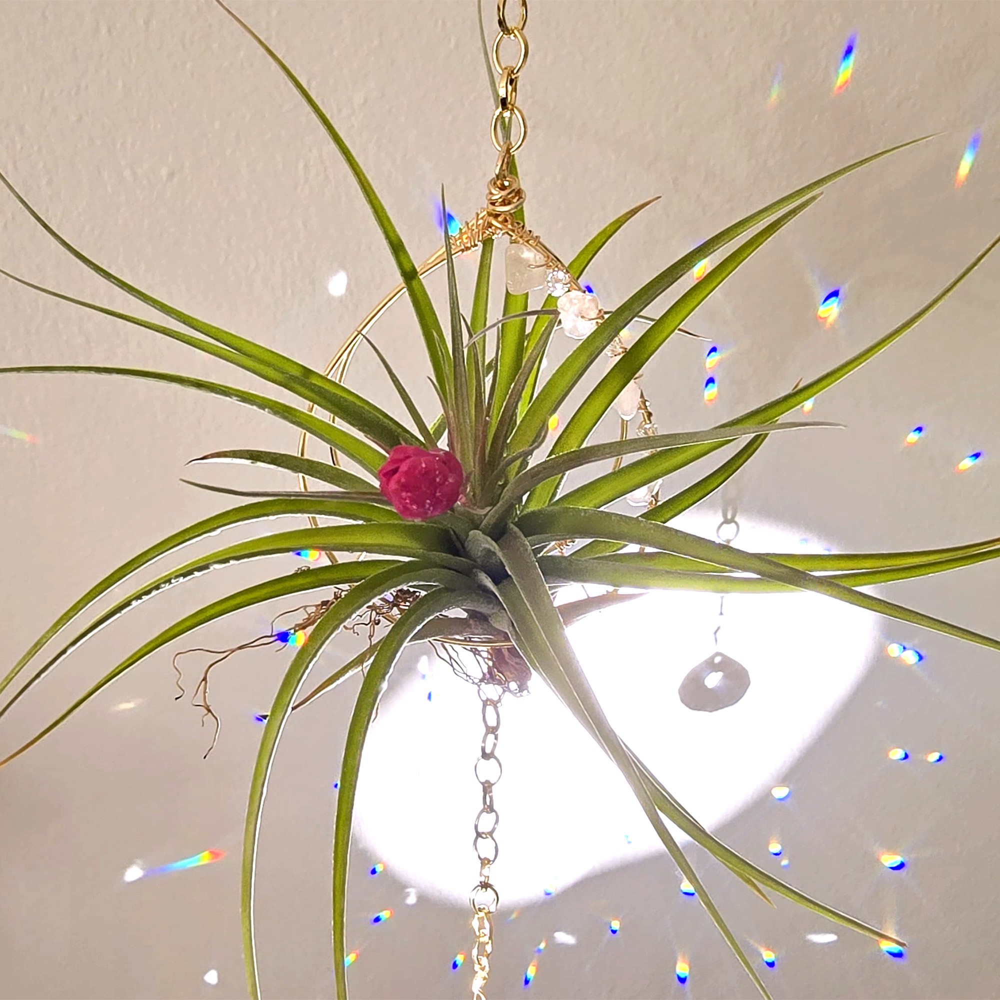 Air plant hanger Crystal Suncatcher with Rose Quartz