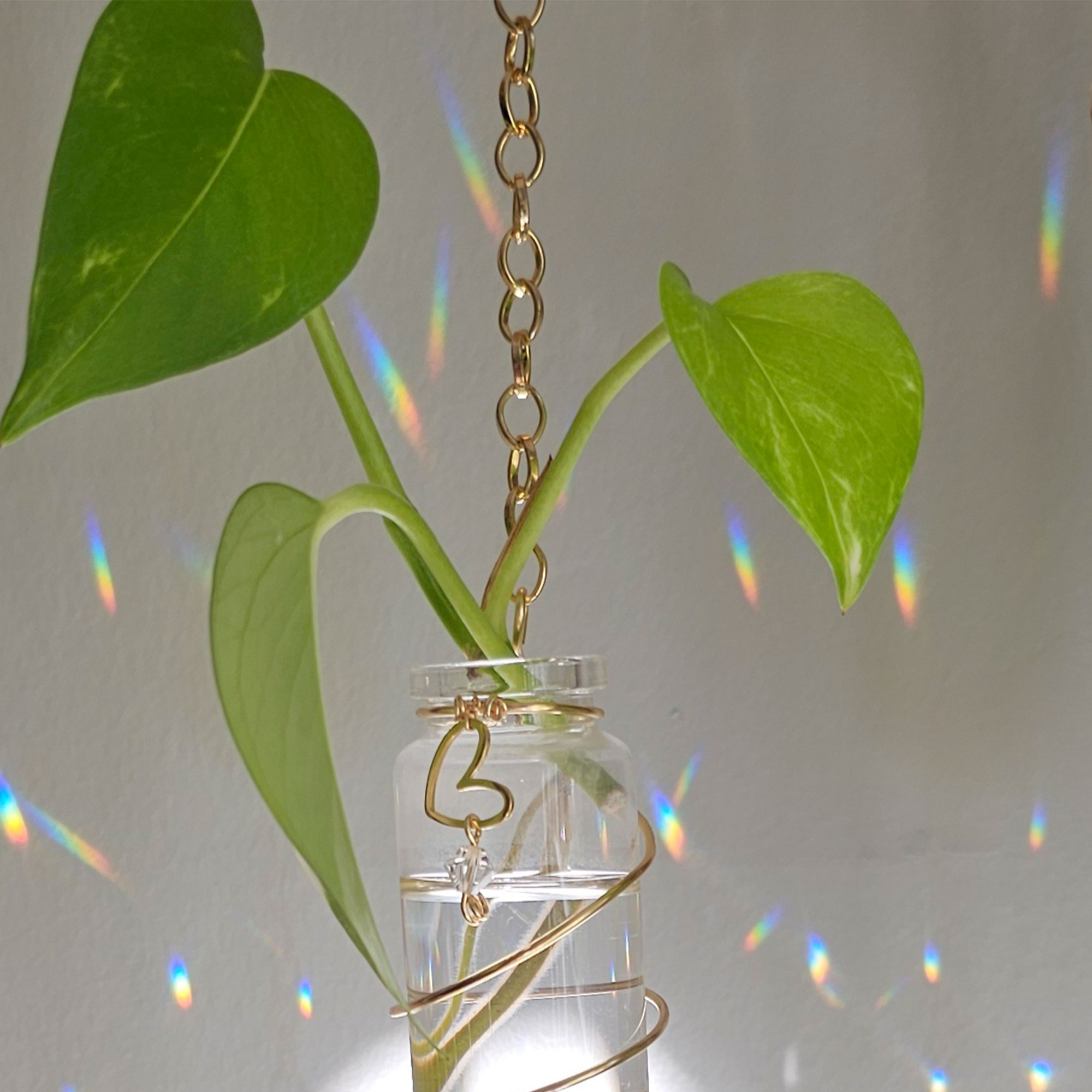 Plant Propagation Station with Crystal Suncatcher