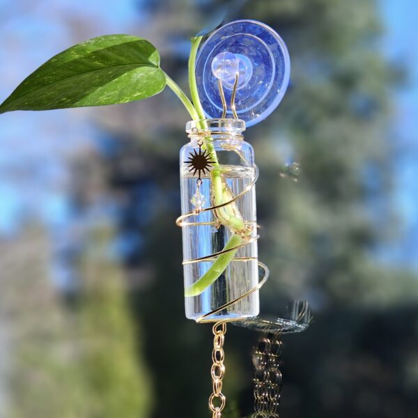 Handmade Plant Propagation Station with Rose Quartz & Crystal